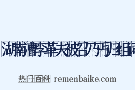 湖南漕李革夫被召乃丐归组词是什么意思的图片